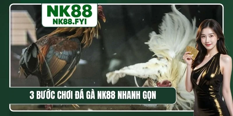 3 bước chơi đá gà NK88 nhanh gọn