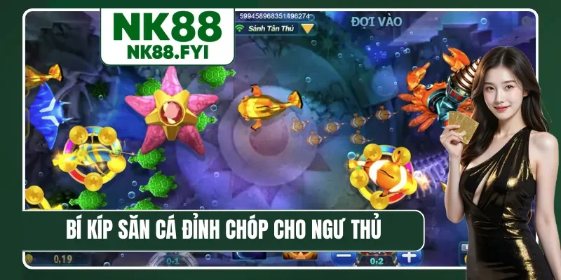 Bí kíp săn cá đỉnh chóp cho ngư thủ