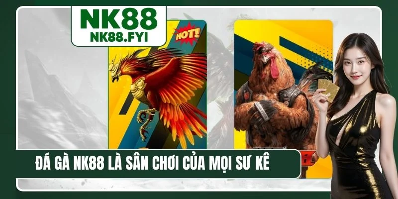 Đá gà NK88 là sân chơi của mọi sư kê