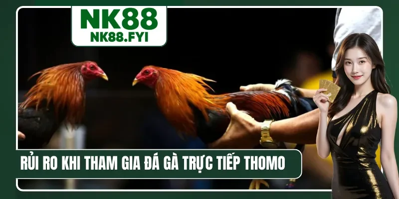 Rủi ro thường gặp khi tham gia đá gà trực tiếp Thomo